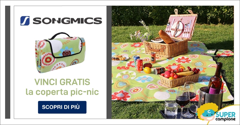 Vinci gratis la coperta pic-nic Songmics