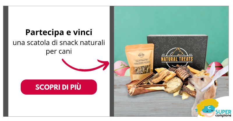 Natural Treats: vinci gratis scatola di snack naturali per cani